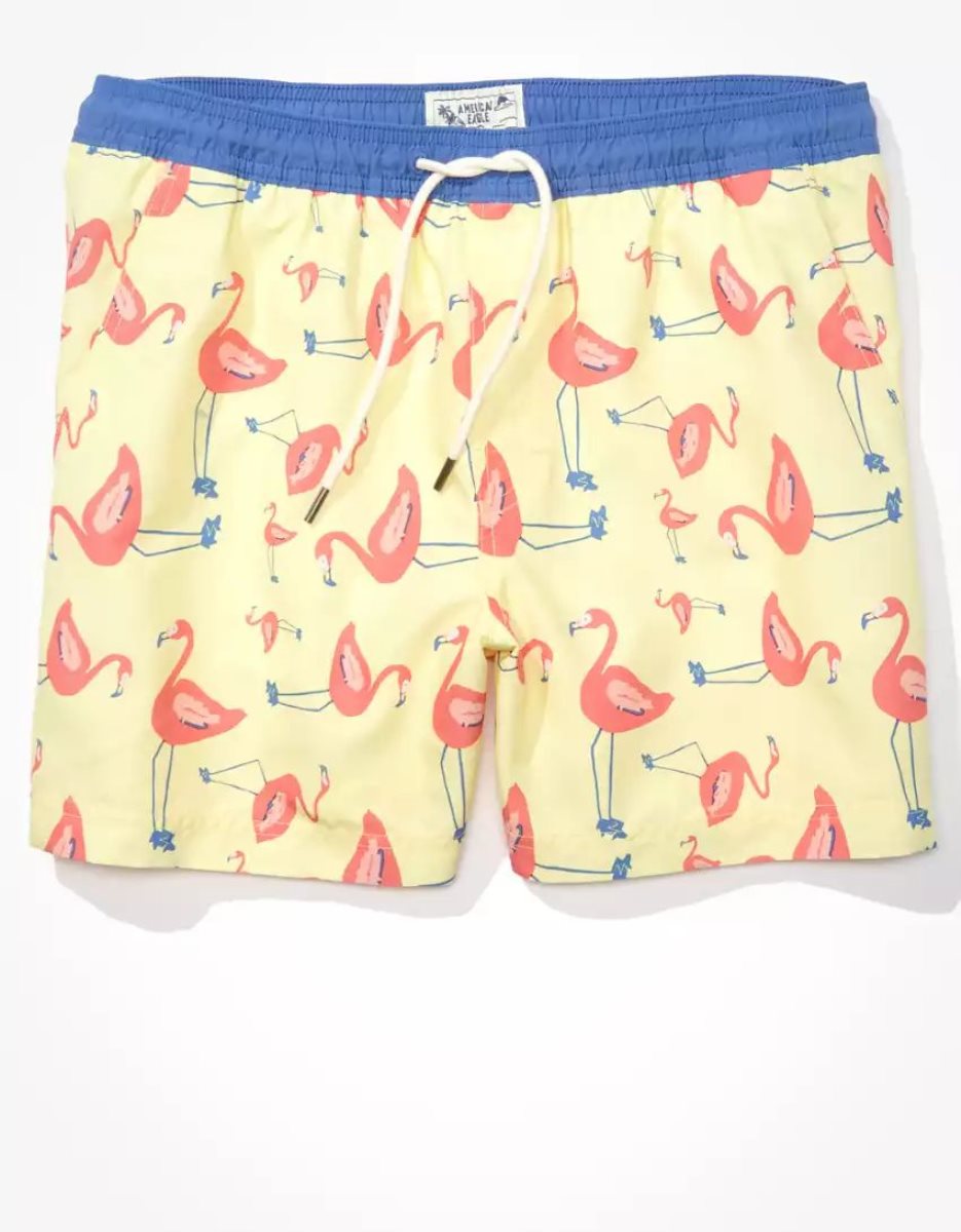 Shorts American Eagle AE 5.5